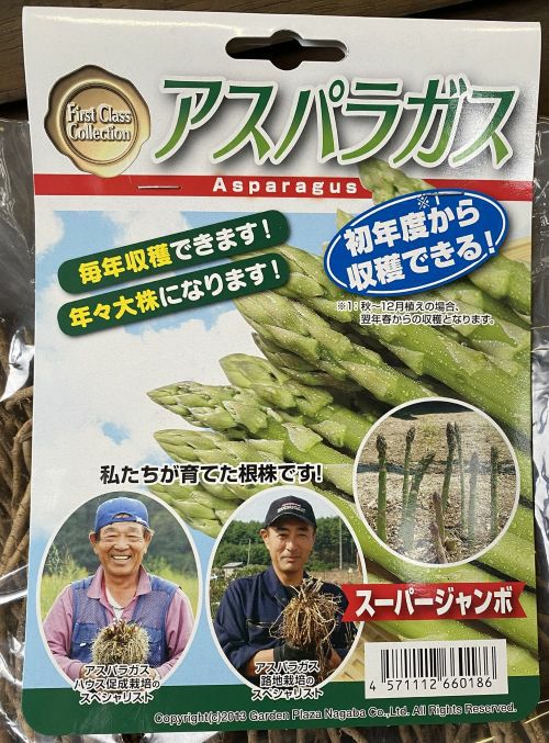 大きなアスパラガス スーパージャンボ