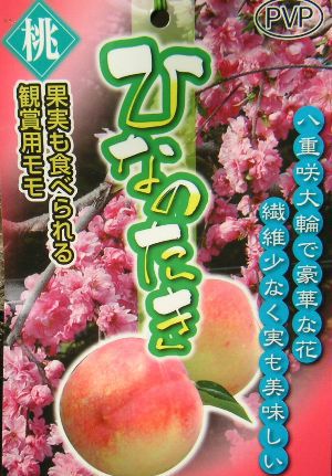 枝垂れ桃 ひなのたき