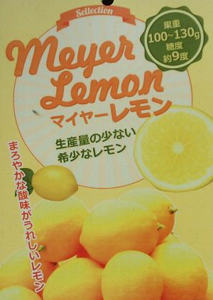 マイヤーレモン（四季成りレモン）：果樹苗 柑橘苗 苗木 接木 苗